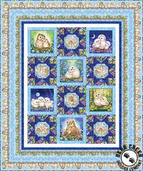 Epic Owls Free Quilt Pattern