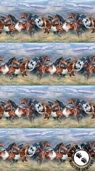 Northcott Wild and Free Border Stripe Blue/Multi