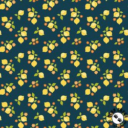 Here Comes The Sun by Riley Blake Designs Citrus Midnight
