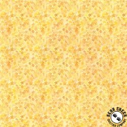 In The Beginning Fabrics Blooming Day and Night Petite