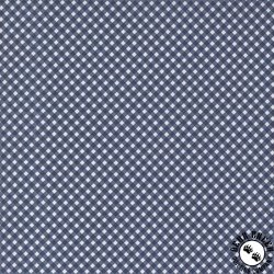 Moda Raspberry Summer Gingham Checks and Plaids Blueberry Moda Raspberry Summer Gingham Checks and Plaids Blueberry