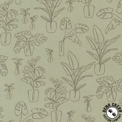 Moda Potted Indoor Jungle Sage Moda Potted Indoor Jungle Sage