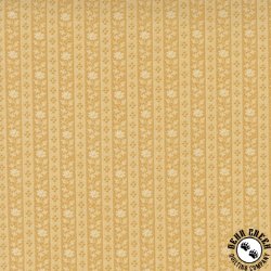 Moda Wild Orchid Fragrance  Lady Slipper