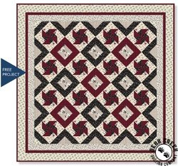 Sylvie Spins Out Free Quilt Pattern by Windham Fabrics Sylvie Spins Out Free Quilt Pattern by Windham Fabrics