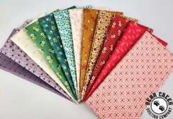 Lori Holt Extra Wide Strip Pack - SEPTEMBER 2025 Lori Holt Extra Wide Strip Pack - SEPTEMBER 2025