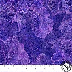 Northcott Infatuation Iris Texture Purple Northcott Infatuation Iris Texture Purple