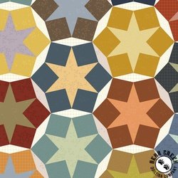 Windham Fabrics Nature Study 2.0 Stellar Whole Cloth Multi