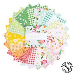 Summer Skies and Fireflies 5 Summer Skies and Fireflies 5