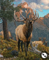 Riley Blake Designs Majestic in Nature Panel Grand Elk Panel