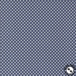 Moda Raspberry Summer Gingham Checks and Plaids Blueberry Moda Raspberry Summer Gingham Checks and Plaids Blueberry