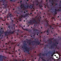 Anthology Fabrics Nouveau Batik Ditzy Dots Violet