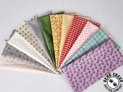 Lori Holt Extra Wide Strip Pack - JANUARY 2025 Lori Holt Extra Wide Strip Pack - JANUARY 2025