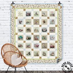 The Secret Life of Squirrels Nut Case Free Quilt Pattern The Secret Life of Squirrels Nut Case Free Quilt Pattern