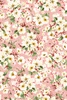 Maywood Studio Windflower Main Flower Pink