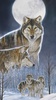 Northcott Naturescapes Wild At Heart Panel