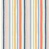 Riley Blake Designs Baby Boy Flannel Stripes White