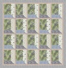 Bluebell Wood II Free Quilt Pattern