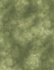 Wilmington Prints Sunkissed Texture Green