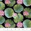 Northcott Water Lilies Lily Pads Black/Multi