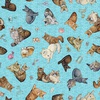 QT Fabrics Quilt Room Kitties Cat Toss Turquoise