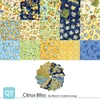 QT Fabrics Citrus Bliss Fat Quarter Bundle