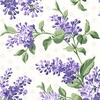 Maywood Studio Lilac Lane Lilac Cream