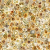 QT Fabrics Sunflower Serenade Sunflower Ephemera Orange