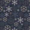 Studio E Fabric Snowy Days and Frosty Nights Snowflake Stitches Graphite