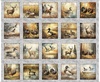 QT Fabrics Forest, Field and Stream Wildlife Pictures Patches Gray
