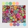 Color Inspiration Series: Solid Fat Quarter Bundle - SUCCULENTS