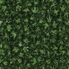 QT Fabrics Savage Kingdom Dino Tracks Forest