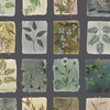 Windham Fabrics Bloomfield Tiny Botanicals Indigo