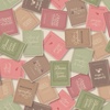 Riley Blake Designs Anne of Green Gables (2025) Books Cream