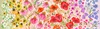 Moda Superbloom Wildflowers Ombre Pastel