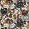 Windham Fabrics Cat Pack 108 Inch Wide Backing Fabric Fur