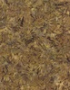 Wilmington Prints Granite Bay Batik Floral Fans Brown