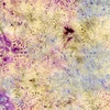 Timeless Treasures Tonga Pansy Batik Fireworks Heather
