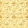 QT Fabrics Buzz, Buzz, Buzz Honeycomb Blender Maize
