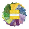 Expressions Batiks 10" Squares by Riley Blake Designs - MEADOW