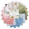 Anne of Green Gables (2025) 10" Squares by Riley Blake Designs