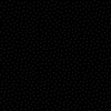 Marcus Fabrics Woolly Whims Posies Black