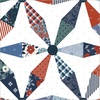 Windham Fabrics Front Porch Spinning Daisies Wholecloth