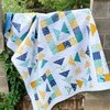 Daisy Fields Free Quilt Pattern