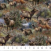 Northcott Timber Trails Naturescapes Elk Scenic Green/Multi