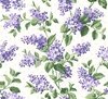 Maywood Studio Lilac Lane Lilac Cream