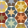 Windham Fabrics Nature Study 2.0 Stellar Whole Cloth Multi