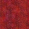 In The Beginning Fabrics Allure Lanterns Red