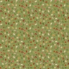 Riley Blake Designs Created with Love Bloom and Grow Grass