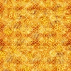 QT Fabrics Buzz, Buzz, Buzz Honeycomb Blender Orange