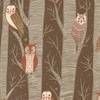 Moda Night Owl Cocoa